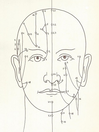 Meridian-Verlauf am Kopf, Stefan Kappstein - Tafeln zur Akupunktur und Akupressur, Plejaden 1983